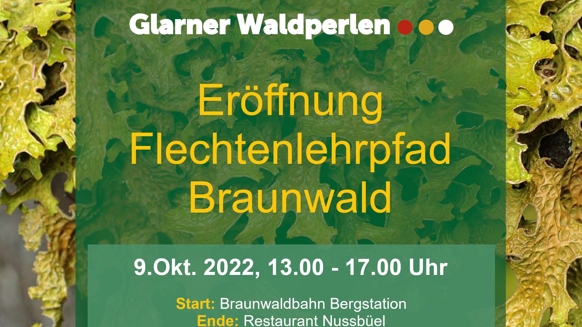 Braunwald bekommt einen Flechten-Lehrpfad