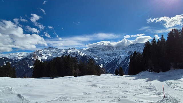 Avalanche Training Center (ATC) Grotzenbüel