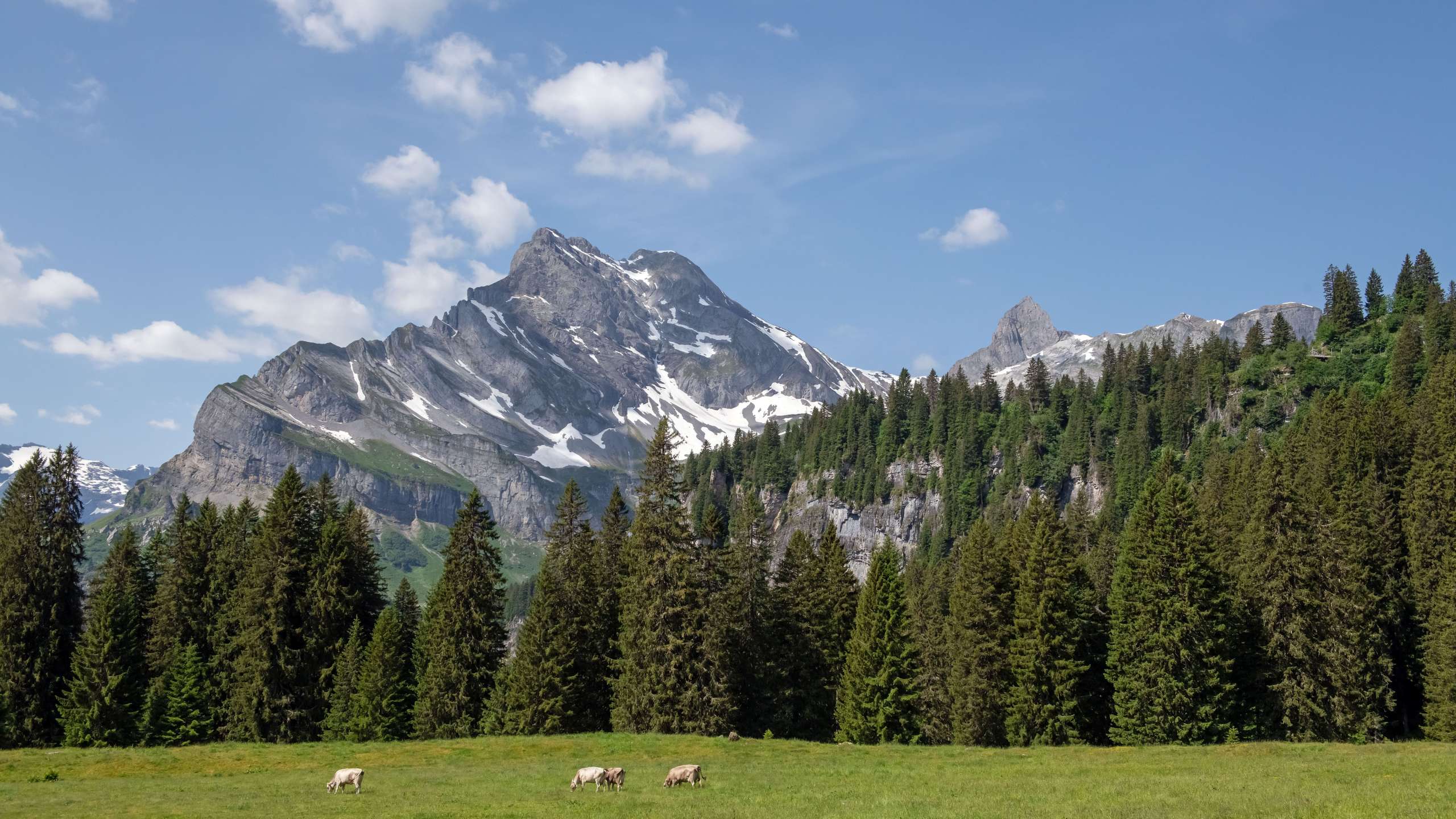 Destination Braunwald startet gemeinsamen Strategieprozess