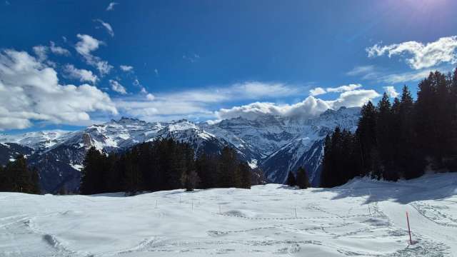 Avalanche Training Center (ATC) Grotzenbüel